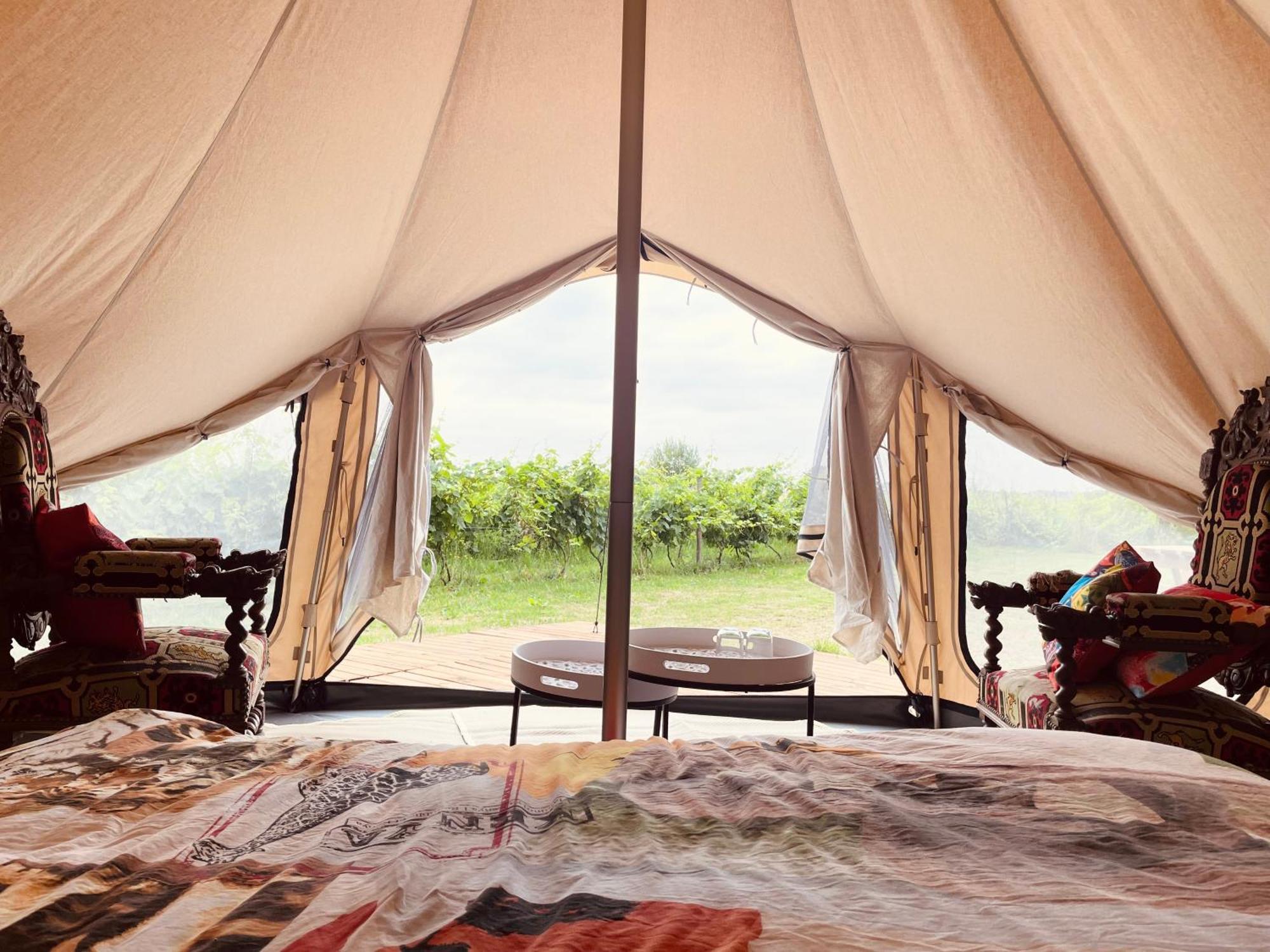 B&B 'T Zwaluwnest Heuvelland Phòng bức ảnh